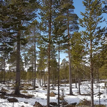 Värdshus Femund Nasjonalparkhotell *